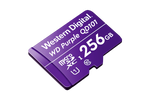 256GB microSD Card (Surveillance Grade)